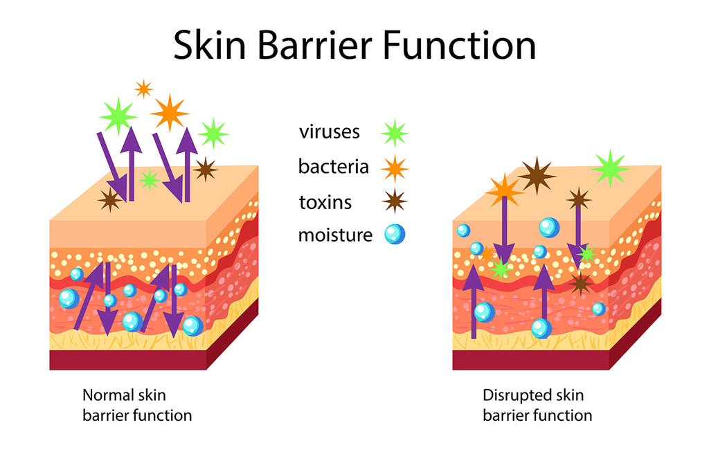 Skin Barrier Protection