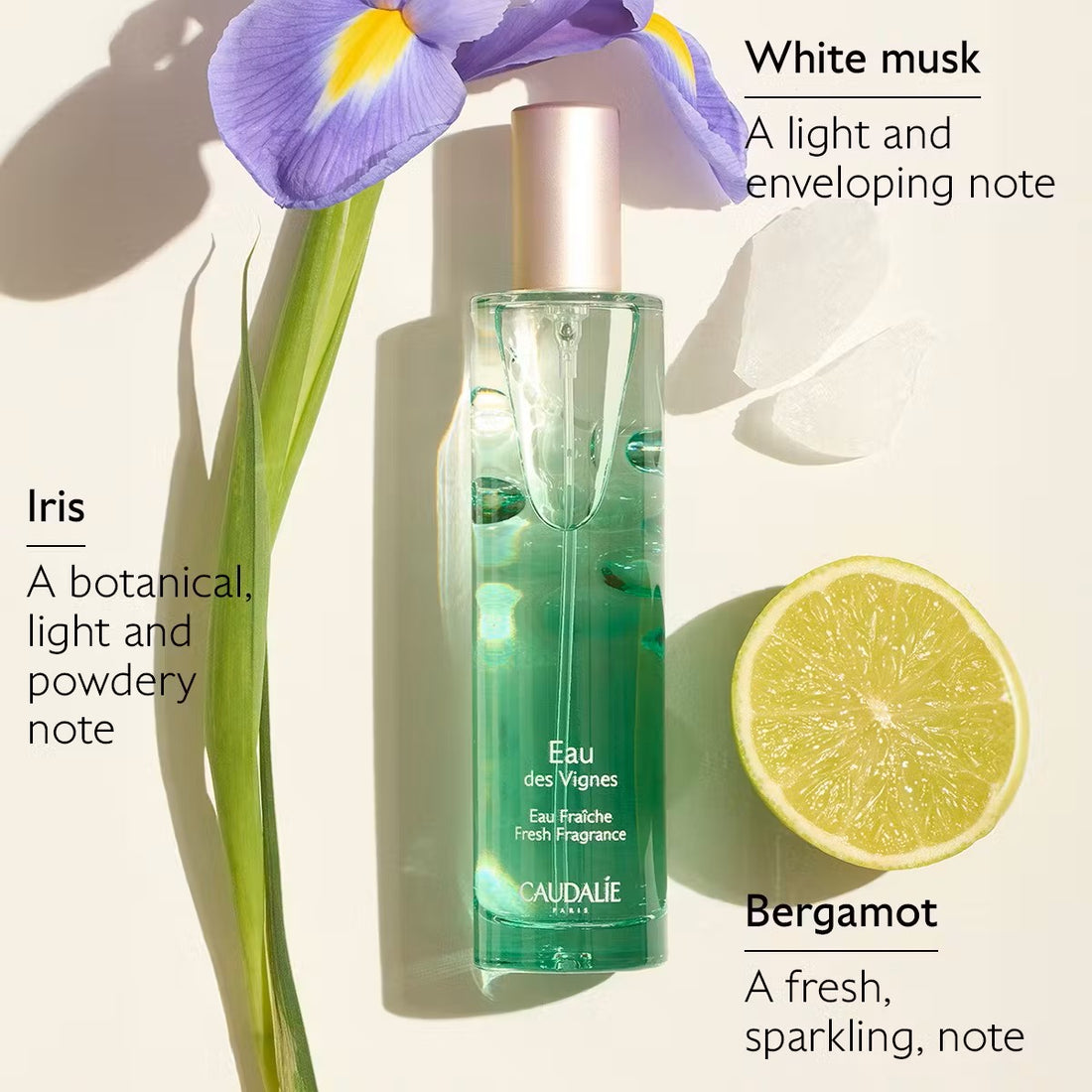 Eau des Vignes Fresh Fragrance