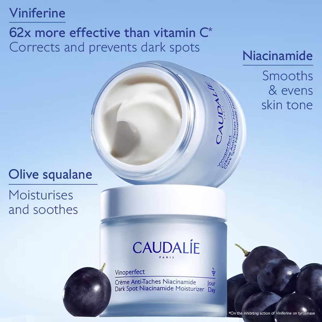 Vinoperfect Dark Spot Niacinamide Moisturiser Refill
